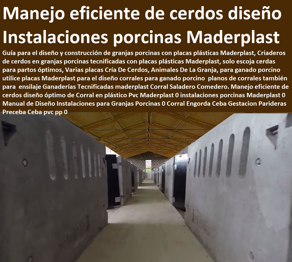 Manejo eficiente de cerdos diseño óptimo de Corral en plástico Pvc Maderplast 0 instalaciones porcinas Maderplast 0 Manual de Diseño Instalaciones para Granjas Porcinas 0 Corral Engorda Ceba Gestacion Parideras Preceba Ceba pvc pp 0 Manejo eficiente de cerdos diseño óptimo de Corral en plástico Pvc Maderplast 0 instalaciones porcinas Maderplast 0 porcicultura jaulas, corrales, parideras, porcinas corral, gestación cerdas, parto cerda, lechonera, destete, jaula pre ceba porcinos, corraleja, ceba, engorde cerdos, porqueriza cría de lechones, pisos jaulas comederos, Manual de Diseño Instalaciones para Granjas Porcinas 0 Corral Engorda Ceba Gestacion Parideras Preceba Ceba pvc pp 0